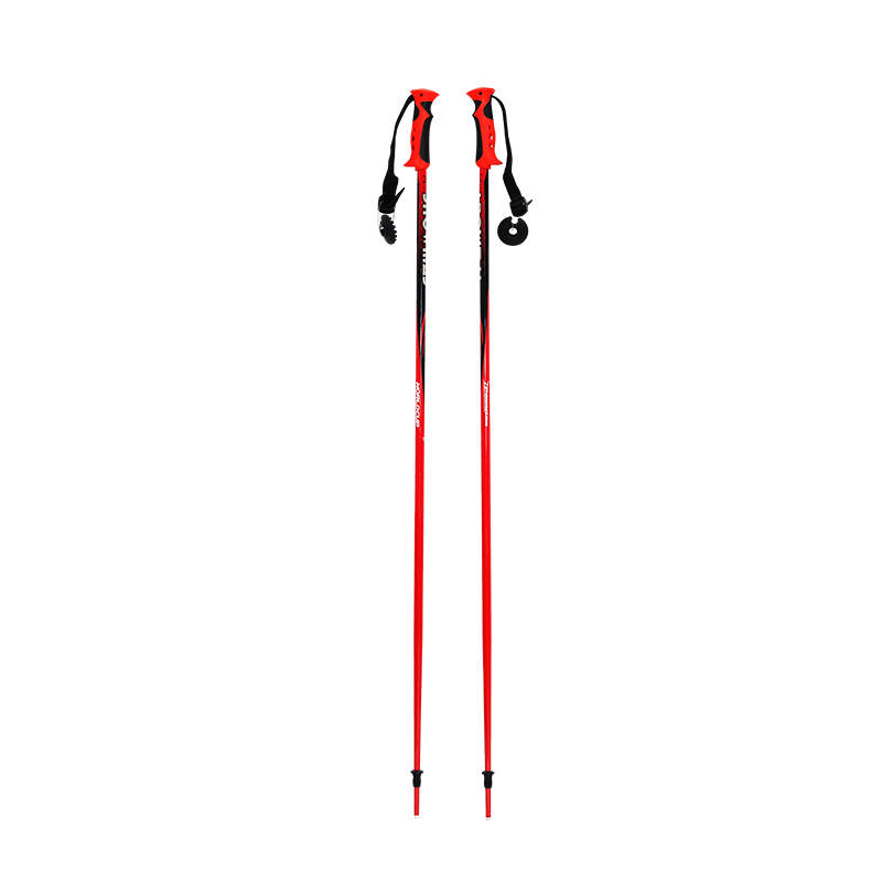 Skis Pole